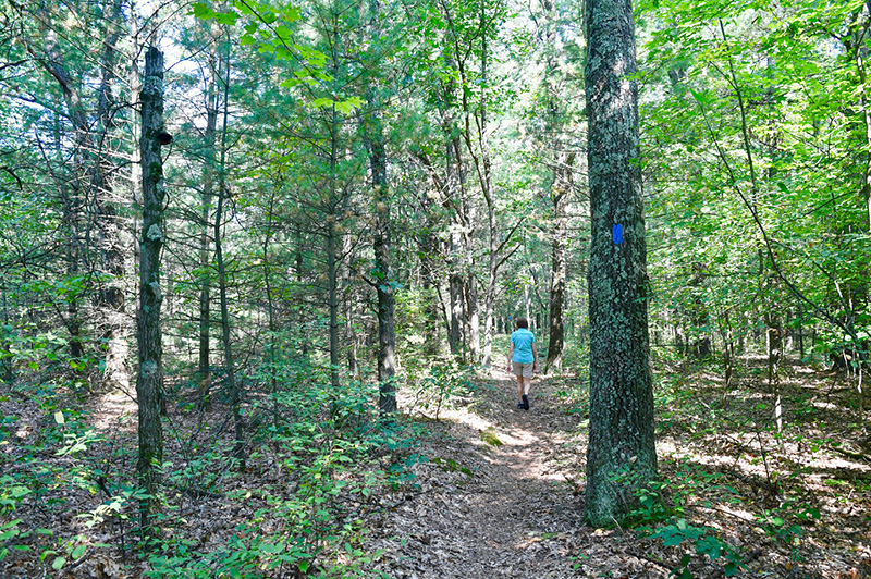 North Country Trail (Newaygo County)